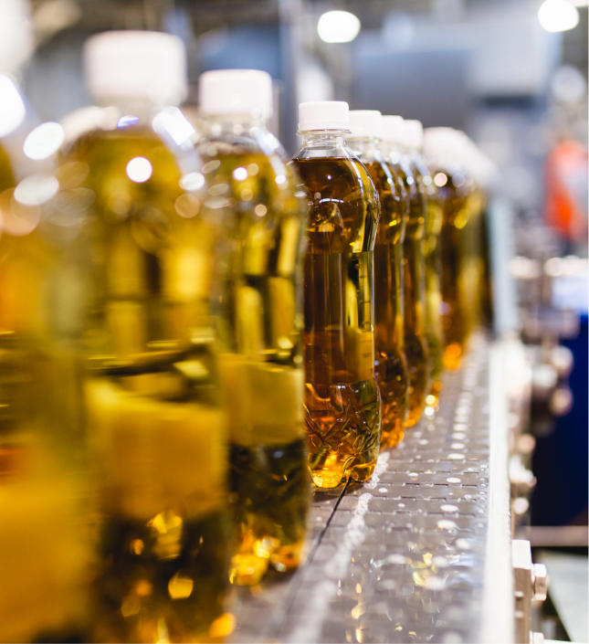 Bottles of golden oil on a production line in a food and beverage manufacturing facility